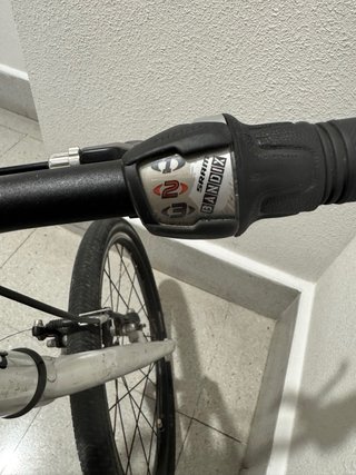 Bicicleta Early Rider 20