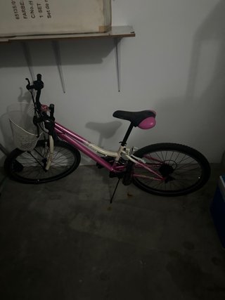 Bicicleta Rosa con Canasta pare Niña