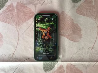 iPhone 13 Pro