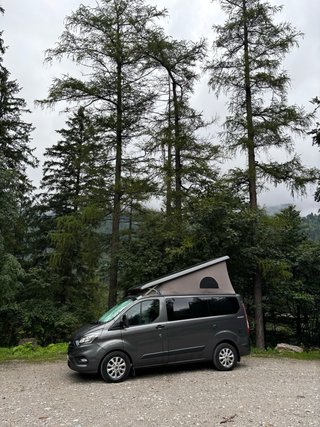 Ford Nugget L1 2020