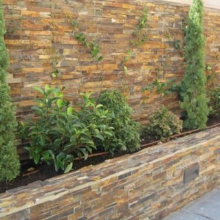Piedra Natural Laja Multicolor 55x15 cm