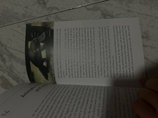 Oxford Bookworms Library: Stage 3: Australia an...