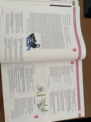 Lengua Castellana y Literatura, 4 ESO, Proyecto...