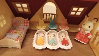 Casa de muñecas Sylvanian
