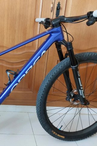 Orbea Alma M Team