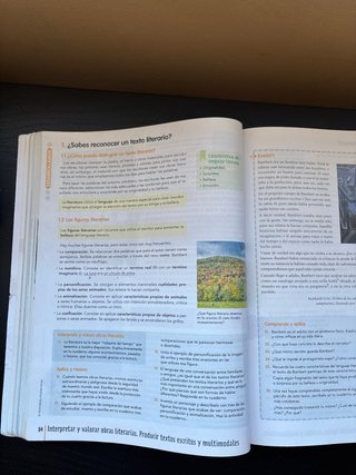 Lengua castellana y literatura