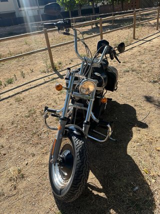 Harley Davidson Softail Custom Centenario