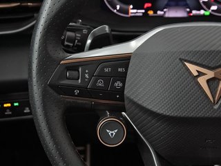 Cupra Terramar 1.5 TSI e-Hybrid 150kW (204 CV) DSG