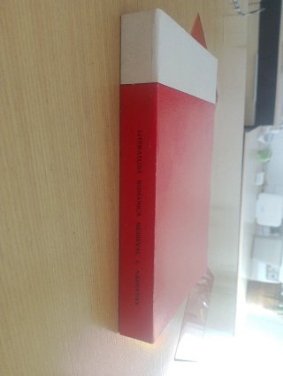 Literatura romanica, medieval I. Narrativa.