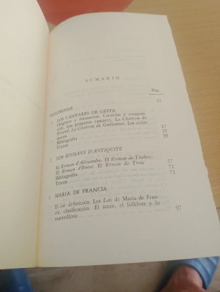 Literatura romanica, medieval I. Narrativa.
