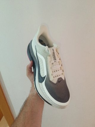Nike Pegasus Year of the Horse