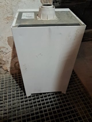 Caldera Viessmann Vitodens 100-W