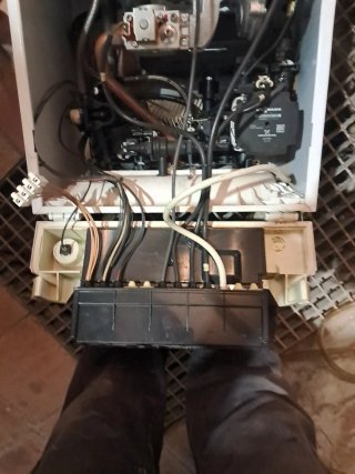 Caldera Viessmann Vitodens 100-W