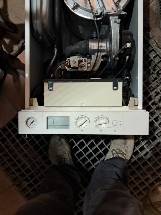 Caldera Viessmann Vitodens 100-W
