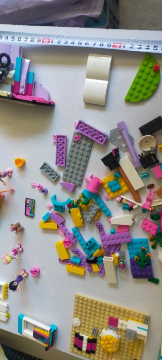 Lote LEGO Friends piezas, figuras y folletos