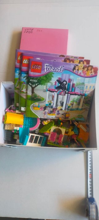 Lote LEGO Friends piezas, figuras y folletos