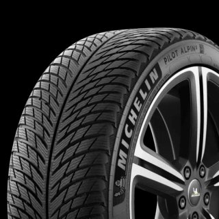 Michelin Pilot Alpin 5 Ruedas