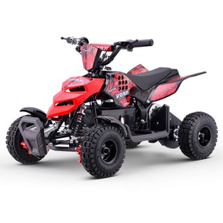 Miniquad Eléctrico Roan Raptor R4 500W