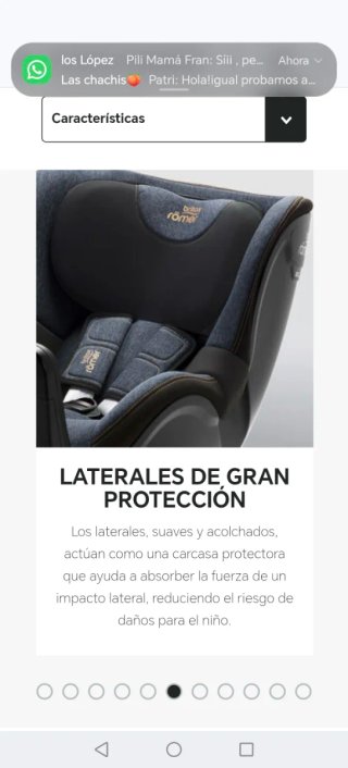 Britax Römer Dualfix Z-Line Silla Coche
