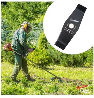 Disco de corte Avalon 2 puntas acero