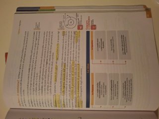 coppia libri "la ricerca del pensiero' (1A,1B)