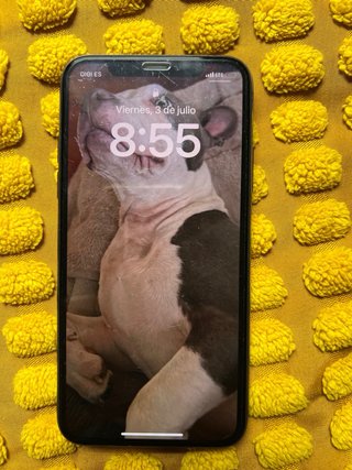 iPhone XS 64GB Space Gray - Batería 77%