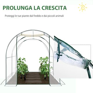 Serra Tunnel da giardino per Piante 2 x 2.5 x 2 m