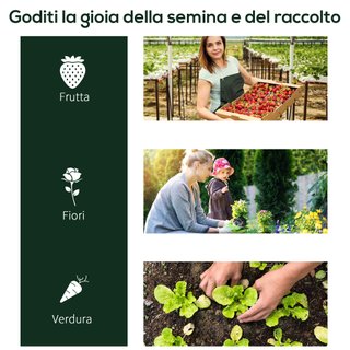 Serra da Giardino 250 x 100 x 80 cm Acciaio e PVC