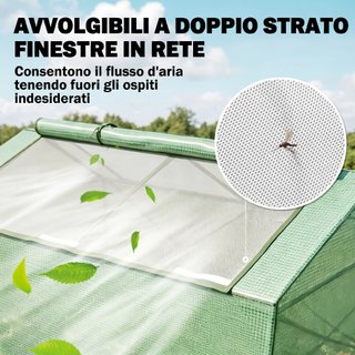 Serra Piccola per Giardino e Balcone con Finestre