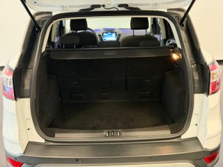 Ford Kuga 2019 Trend+