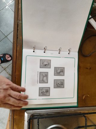 Collezione francobolli calcio Bolaffi
