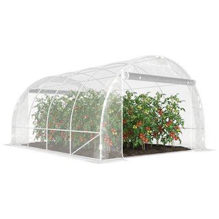 Serra a Tunnel 3x4x2 m con Porte Avvolgibili