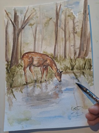Cerbiatto disegno acquerello originale