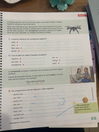 Llengua i Literatura, 6 Educació Primària,