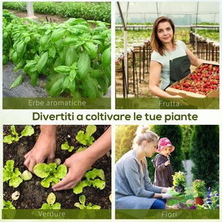 Serra da Giardino con Porta Avvolgibile  8×3×2m