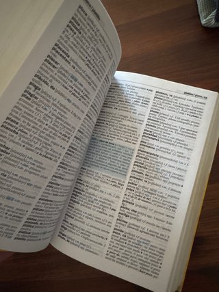 Il piccolo dizionario di spagnolo