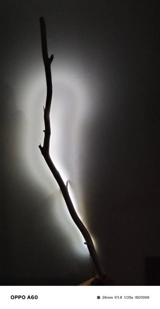 Lámpara de pared rama natural con luz LED