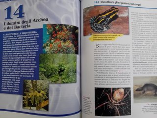 Libro Biologia Biosfera Medium-2^Biennio-C/Nuovo