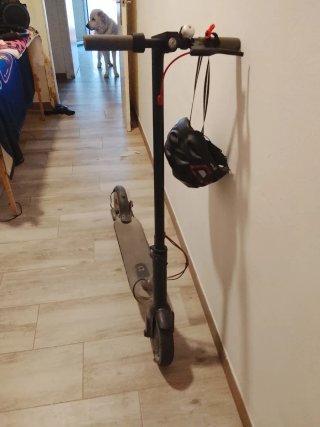 Patinete Eléctrico Xiaomi