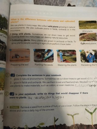 Libro Natural Science 3° primaria Anaya