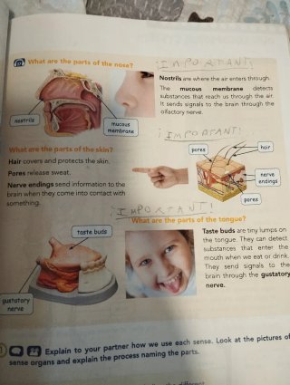 Libro Natural Science 3° primaria Anaya