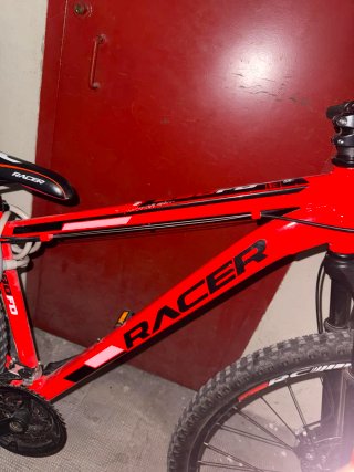 Bicicleta de montaña roja 29