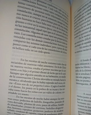 La hermana de Freud, novela