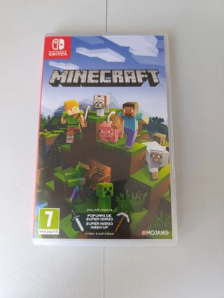 Minecraft Nintendo Switch