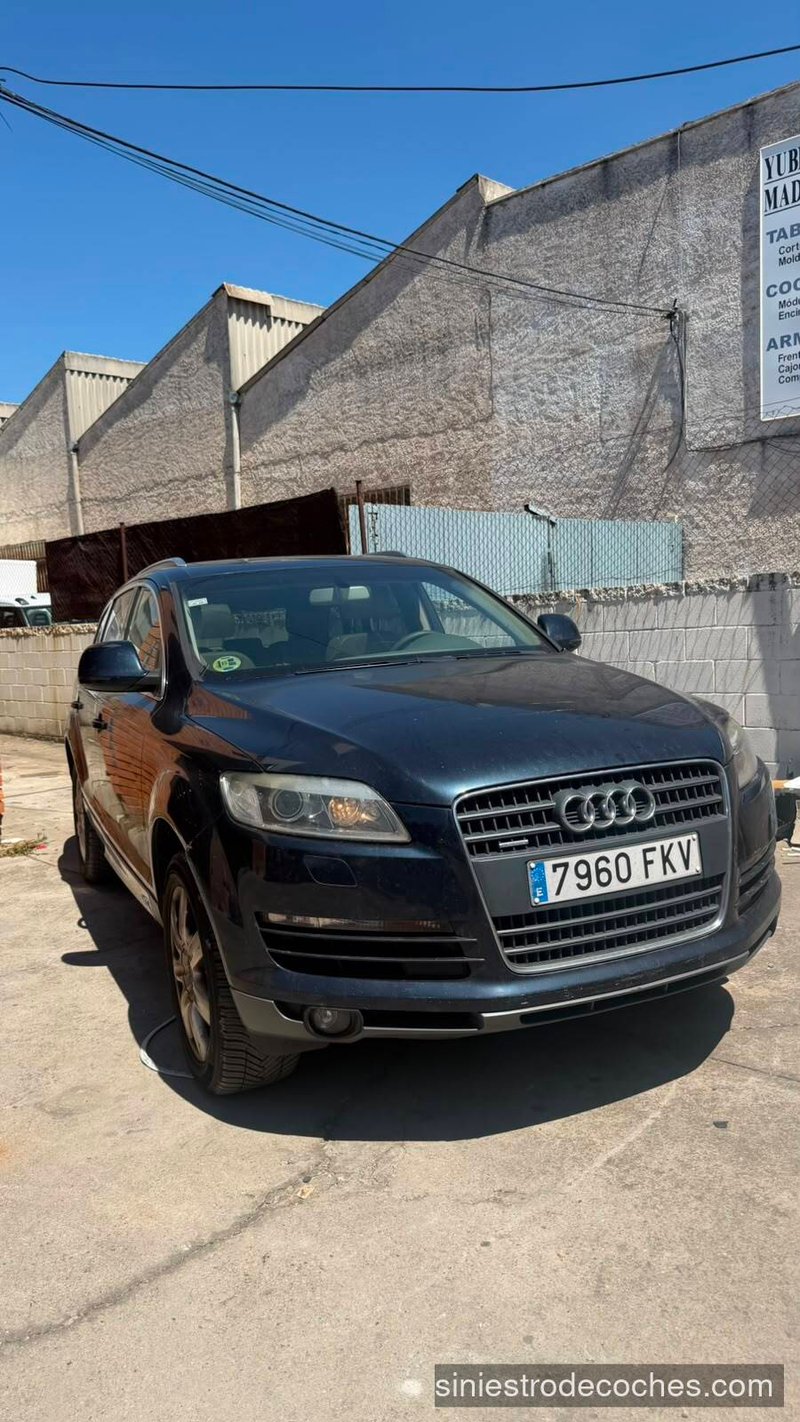 Audi Q7 2007, foto 2