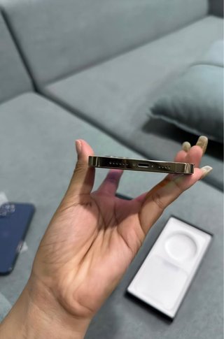 iPhone 12 Pro Max ( 100% Bateria )