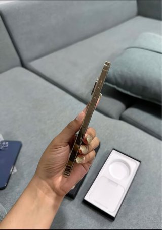 iPhone 12 Pro Max ( 100% Bateria )