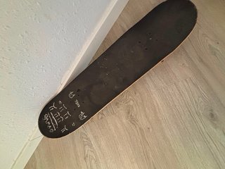 Skate Birdhouse Completo
