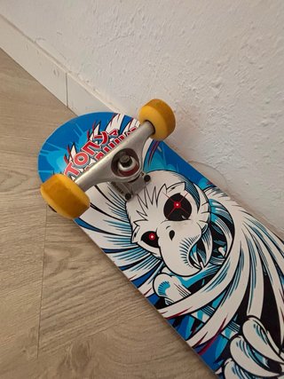 Skate Birdhouse Completo