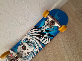 Skate Birdhouse Completo